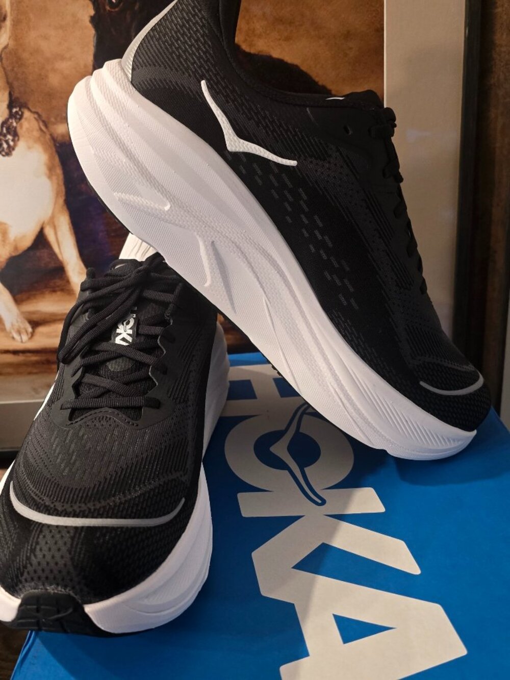 Hoka One One Skyflow Black / White 1155117-BWHT Men's Size 10 EE Wide New